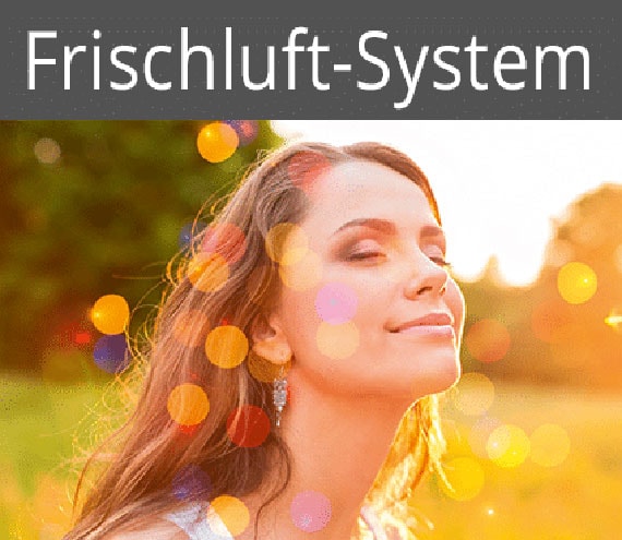 frischluftsystem